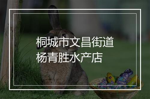桐城市文昌街道杨青胜水产店