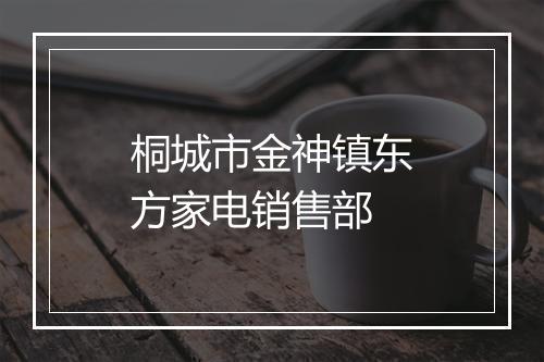 桐城市金神镇东方家电销售部