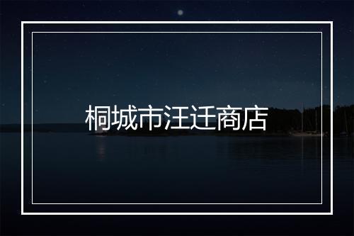 桐城市汪迁商店