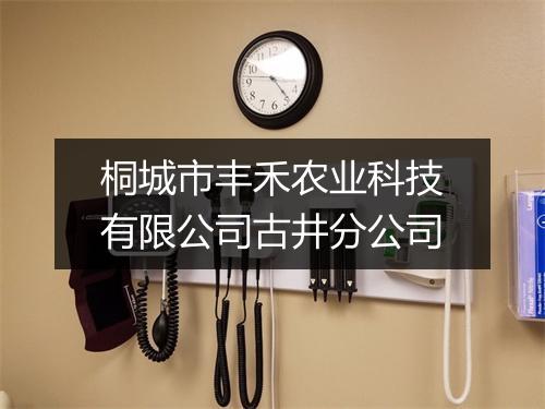 桐城市丰禾农业科技有限公司古井分公司