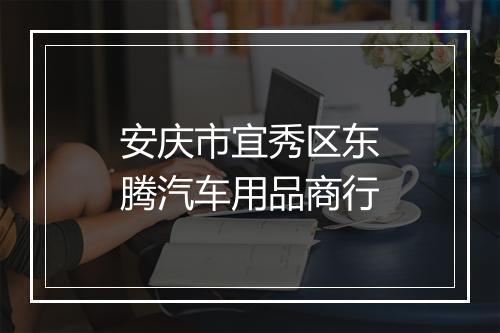 安庆市宜秀区东腾汽车用品商行