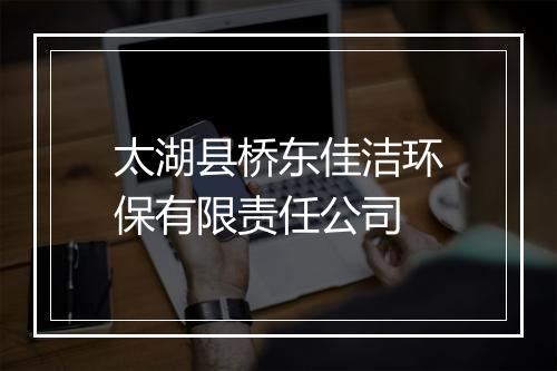 太湖县桥东佳洁环保有限责任公司