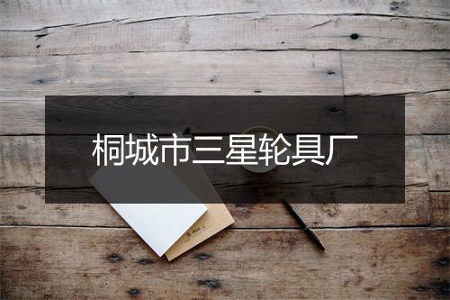 桐城市三星轮具厂