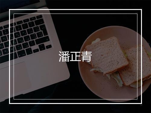 潘正青