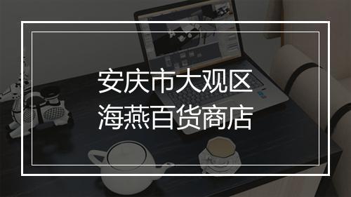 安庆市大观区海燕百货商店