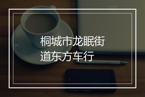 桐城市龙眠街道东方车行