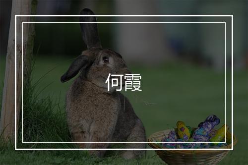 何霞