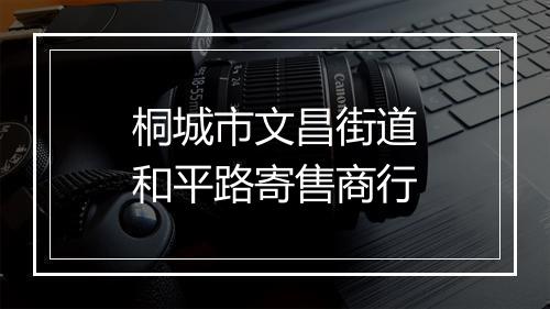 桐城市文昌街道和平路寄售商行