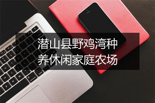 潜山县野鸡湾种养休闲家庭农场