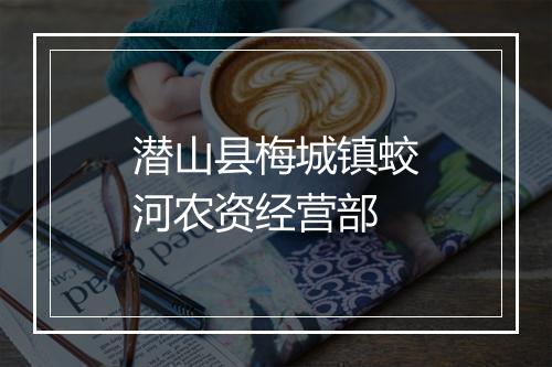 潜山县梅城镇蛟河农资经营部