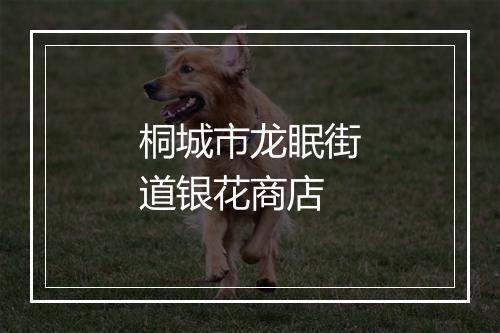 桐城市龙眠街道银花商店