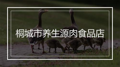 桐城市养生源肉食品店