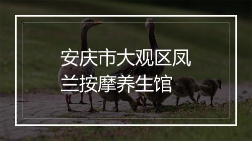 安庆市大观区凤兰按摩养生馆
