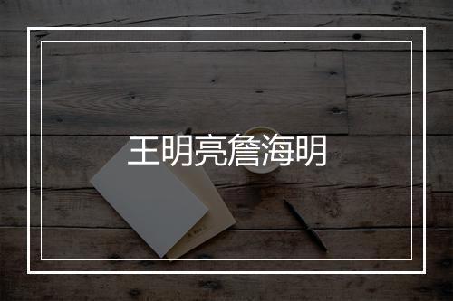 王明亮詹海明