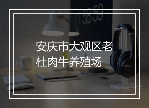 安庆市大观区老杜肉牛养殖场