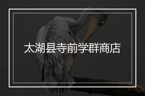 太湖县寺前学群商店