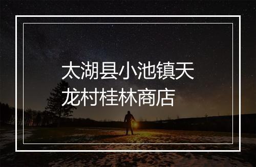 太湖县小池镇天龙村桂林商店