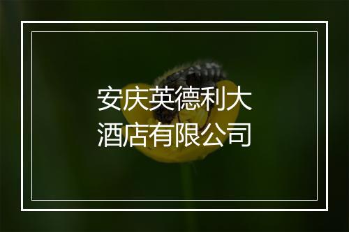 安庆英德利大酒店有限公司