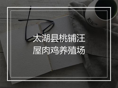太湖县桃铺汪屋肉鸡养殖场
