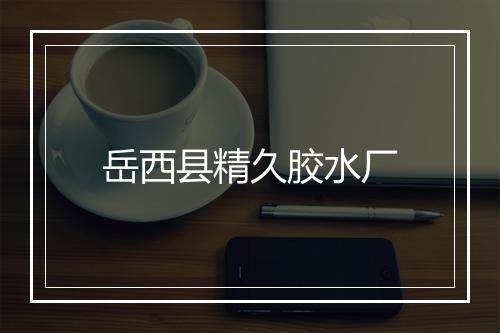 岳西县精久胶水厂