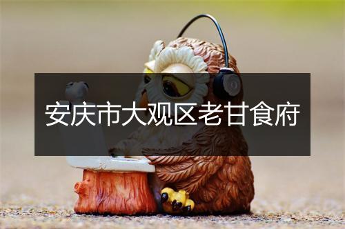 安庆市大观区老甘食府