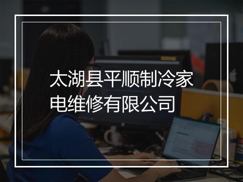 太湖县平顺制冷家电维修有限公司