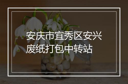 安庆市宜秀区安兴废纸打包中转站