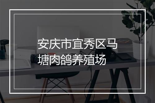 安庆市宜秀区马塘肉鸽养殖场