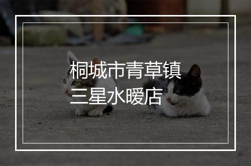 桐城市青草镇三星水暧店