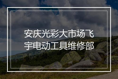 安庆光彩大市场飞宇电动工具维修部