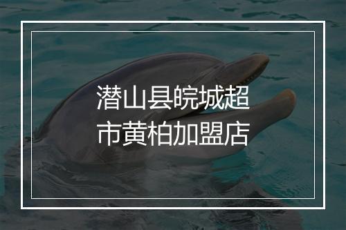 潜山县皖城超市黄柏加盟店