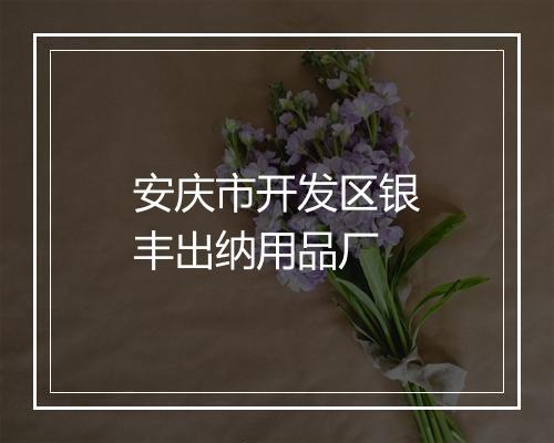 安庆市开发区银丰出纳用品厂