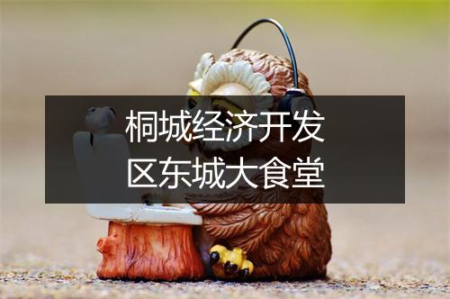 桐城经济开发区东城大食堂