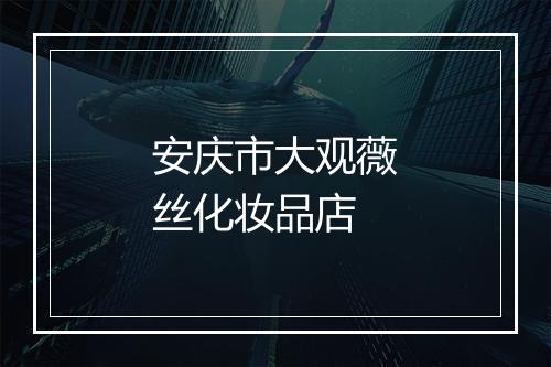 安庆市大观薇丝化妆品店