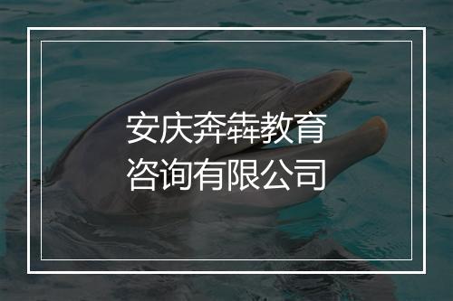 安庆奔犇教育咨询有限公司