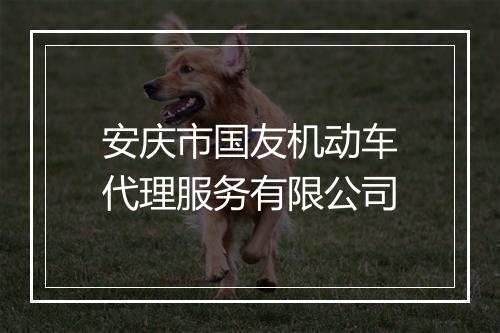 安庆市国友机动车代理服务有限公司