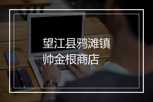望江县鸦滩镇帅金根商店