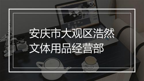 安庆市大观区浩然文体用品经营部