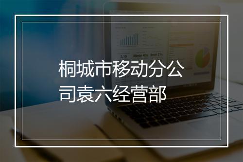 桐城市移动分公司袁六经营部