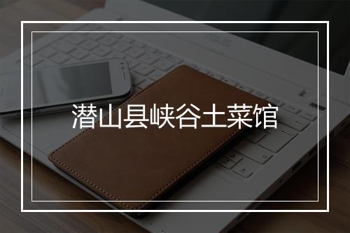潜山县峡谷土菜馆