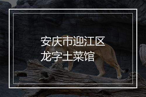 安庆市迎江区龙字土菜馆