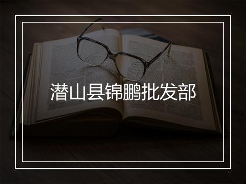 潜山县锦鹏批发部