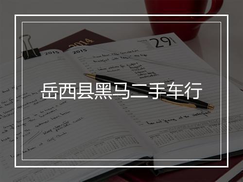 岳西县黑马二手车行