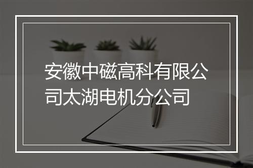 安徽中磁高科有限公司太湖电机分公司