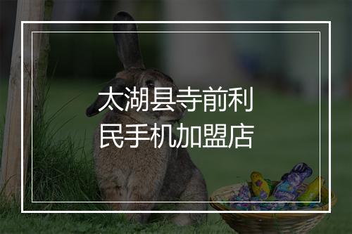 太湖县寺前利民手机加盟店