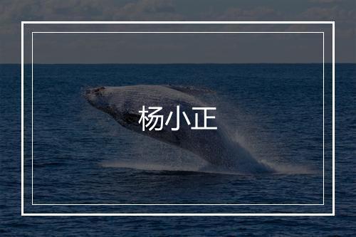 杨小正