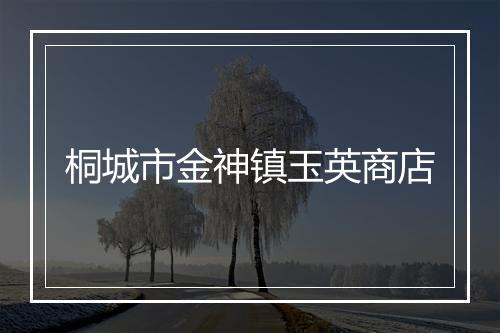桐城市金神镇玉英商店