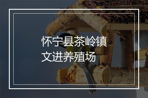 怀宁县茶岭镇文进养殖场