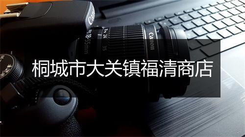 桐城市大关镇福清商店