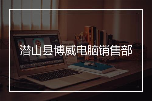 潜山县博威电脑销售部